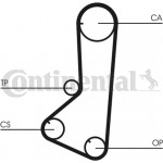 Continental Ctam Οδοντωτός Ιμάντας - CT801
