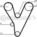 Continental Ctam Οδοντωτός Ιμάντας - CT805