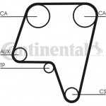 Continental Ctam Οδοντωτός Ιμάντας - CT819 Continental Ctam Οδοντωτός Ιμάντας - CT819