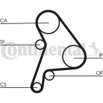 Continental Ctam Οδοντωτός Ιμάντας - CT1012 Continental Ctam Οδοντωτός Ιμάντας - CT1012