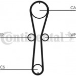 Continental Ctam Οδοντωτός Ιμάντας - CT915 Continental Ctam Οδοντωτός Ιμάντας - CT915
