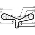 Continental Ctam Οδοντωτός Ιμάντας - CT920