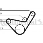 Continental Ctam Οδοντωτός Ιμάντας - CT1107 Continental Ctam Οδοντωτός Ιμάντας - CT1107