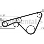 Continental Ctam Οδοντωτός Ιμάντας - CT925 Continental Ctam Οδοντωτός Ιμάντας - CT925