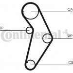 Continental Ctam Οδοντωτός Ιμάντας - CT927 Continental Ctam Οδοντωτός Ιμάντας - CT927