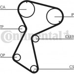 Continental Ctam Οδοντωτός Ιμάντας - CT935