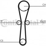 Continental Ctam Οδοντωτός Ιμάντας - CT954