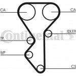 Continental Ctam Οδοντωτός Ιμάντας - CT955 Continental Ctam Οδοντωτός Ιμάντας - CT955