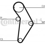 Continental Ctam Οδοντωτός Ιμάντας - CT973 Continental Ctam Οδοντωτός Ιμάντας - CT973