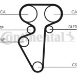 Continental Ctam Οδοντωτός Ιμάντας - CT996 Continental Ctam Οδοντωτός Ιμάντας - CT996