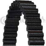 Continental Ctam Οδοντωτός Ιμάντας - CT970 Continental Ctam Οδοντωτός Ιμάντας - CT970