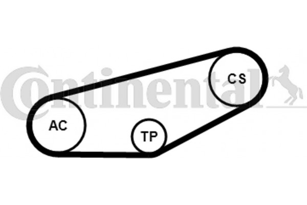 Continental Ctam Σετ Ιμάντων poly-V - 4PK855K1