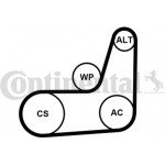 Continental Ctam Σετ Ιμάντων poly-V - 6PK1019 Elast T2