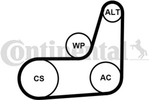 Continental Ctam Σετ Ιμάντων poly-V - 6PK1019 Elast T2