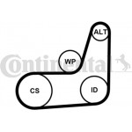 Continental Ctam Σετ Ιμάντων poly-V - 6PK1019 Elast T2