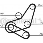 Continental Ctam Σετ Ιμάντων poly-V - 6PK1059 Elast T2