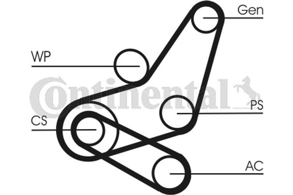 Continental Ctam Σετ Ιμάντων poly-V - 6PK1059 Elast T2