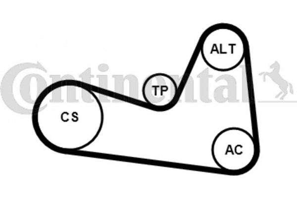 Continental Ctam Σετ Ιμάντων poly-V - 6PK1200K1