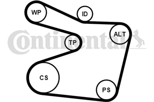 Continental Ctam Σετ Ιμάντων poly-V - 6PK1555K1