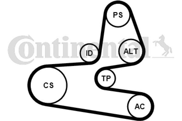 Continental Ctam Σετ Ιμάντων poly-V - 6PK1564K1