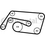 Continental Ctam Σετ Ιμάντων poly-V - 6PK2260K2