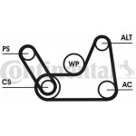 Continental Ctam Σετ Ιμάντων poly-V - 6PK1019 Elast T1