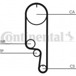 Continental Ctam Σετ Οδοντωτού Ιμάντα - CT1008K2