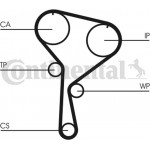 Continental Ctam Σετ Οδοντωτού Ιμάντα - CT1035K1 Continental Ctam Σετ Οδοντωτού Ιμάντα - CT1035K1
