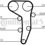 Continental Ctam Σετ Οδοντωτού Ιμάντα - CT1051K2