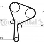 Continental Ctam Σετ Οδοντωτού Ιμάντα - CT1064K1