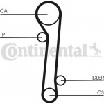 Continental Ctam Σετ Οδοντωτού Ιμάντα - CT781K2