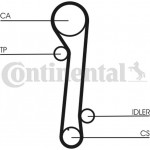 Continental Ctam Σετ Οδοντωτού Ιμάντα - CT937K2