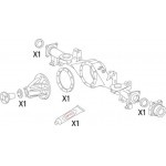 Corteco Σετ στεγανοπ., Διαφορικό - 19536236