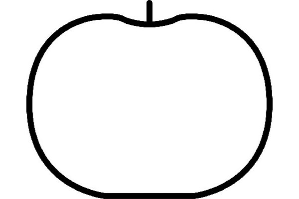 Corteco Σετ στεγανοποίησης, Πολλαπλή Εισαγωγής - 450134H