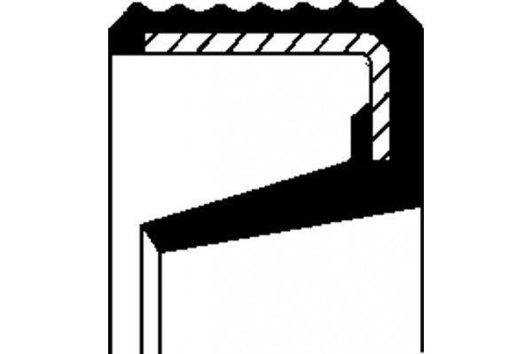 Corteco Στεγανοποιητικός δακτύλιος, Ακραξόνιο - 12015561B