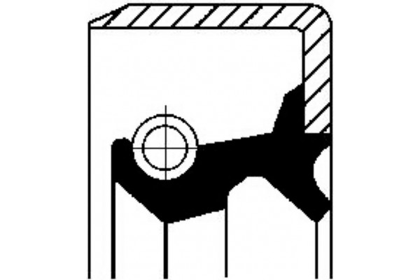 Corteco Τσιμούχα, Διαφορικό - 19017085B