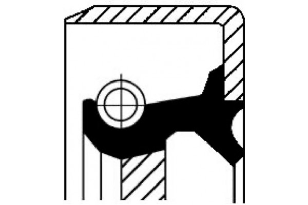 Corteco Τσιμούχα, Διαφορικό - 07016736B