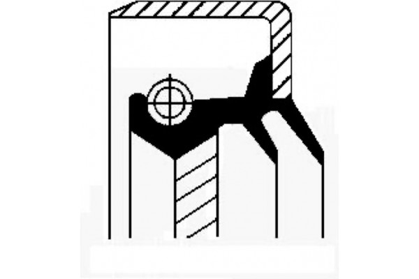 Corteco Τσιμούχα, Διαφορικό - 01020677B