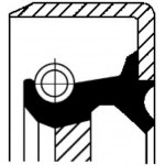 Corteco Τσιμούχα, Διαφορικό - 12011293B