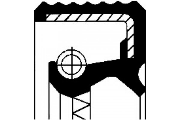 Corteco Τσιμούχα, Διαφορικό - 20020137B