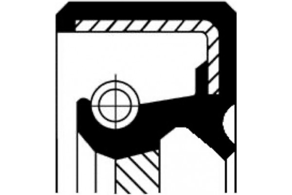 Corteco Τσιμούχα, Διαφορικό - 19036893B