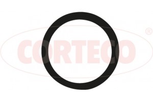 Corteco Τσιμούχα, Πολλαπλή Εισαγωγής - 026002H