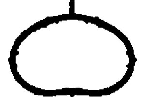 Corteco Τσιμούχα, Πολλαπλή Εισαγωγής - 450060H