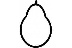 Corteco Τσιμούχα, Πολλαπλή Εισαγωγής - 450139H