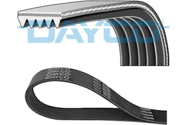 Dayco Ιμάντας poly-V - 5PK1545