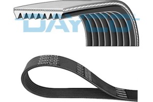 Dayco Ιμάντας poly-V - 8PK800HD