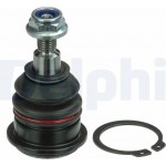 Delphi Άρθρωση Υποστήριξης - TC1236