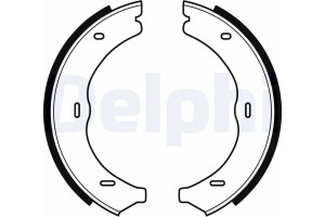 Delphi Σετ Σιαγόνων φρένων, Χειρόφρενο - LS1967