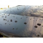 Ceramic Bond Ceramic Bond Sapphire 3D9H 50ml Detailing & Paint Correction > Κεραμικες Επιστρωσεις