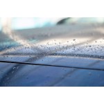 Cartec Bv Cartec Essentials Wet Coat Detailing & Paint Correction